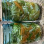 fermented foods